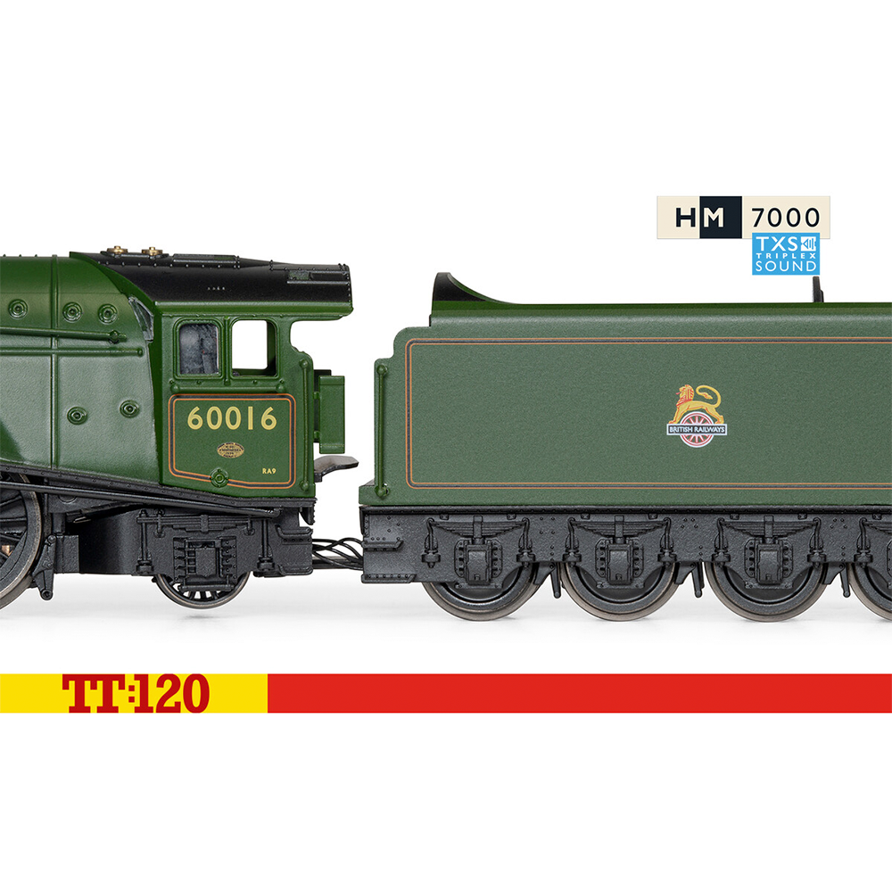 Hornby TT:120 BR Class A4 4-6-2 60016 'Silver King' Digital Era 4 SF TT3008TXSM