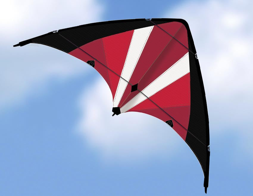 Gunther Power Move - Stunt kite G1070