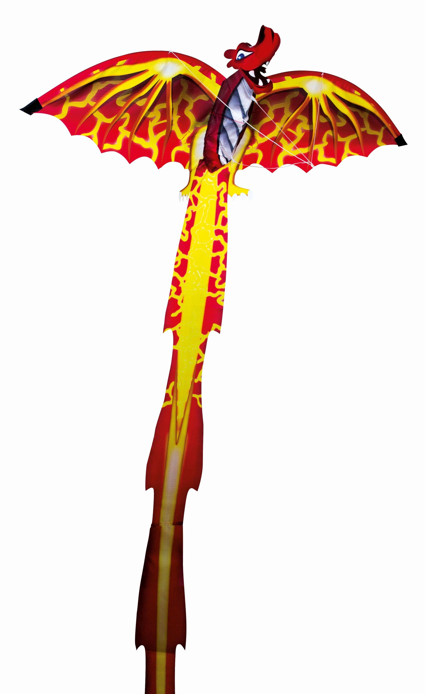 Gunther Dragon 3D Kite G1136