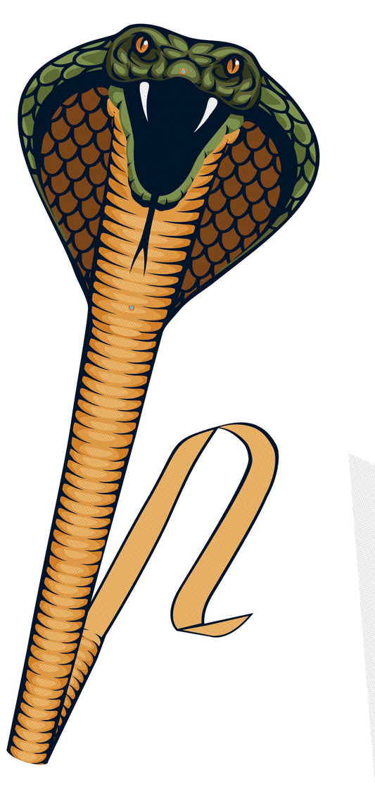 Gunther Cobra Kite G1154