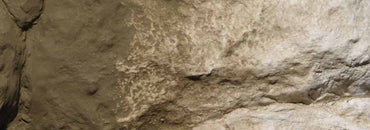 Woodland Scenics C1229 Earth Undercoat Earth Colours Liquid Pigment 115ml