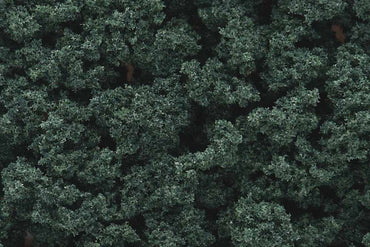 Woodland Scenics FC147 Dark Green Bushes Bag Scenic Brush Foliage Flock