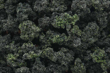 Woodland Scenics FC149 Forest Blend Bushes Bag Scenic Brush Foliage Flock
