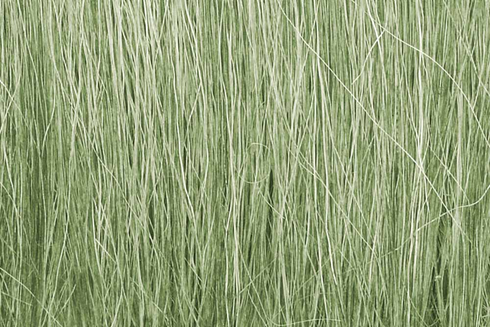Woodland Scenics FG173 Light Green Field Grass Scenic Brush Foliage Flock