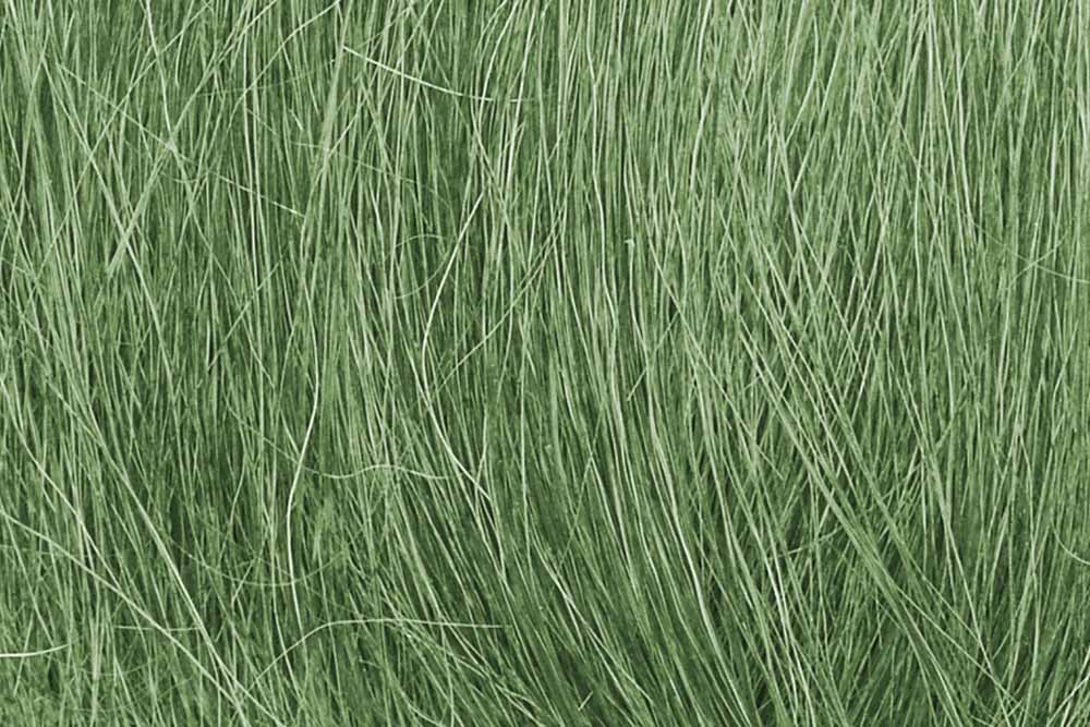 Woodland Scenics FG174 Medium Green Field Grass Scenic Brush Foliage Flock