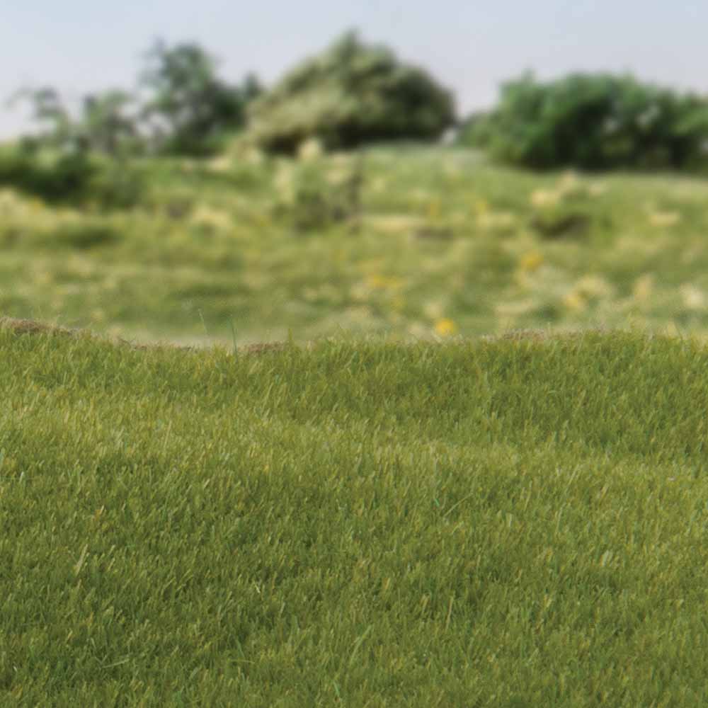 Woodland Scenics FS613 2mm Static Grass Dark Green Scenic Brush Foliage Flock