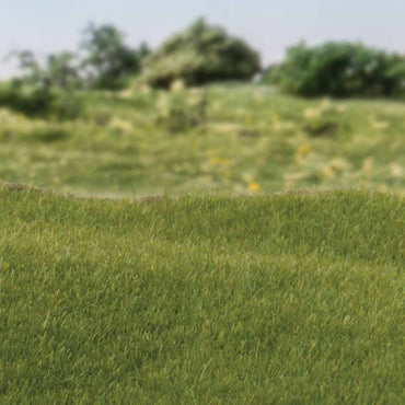 Woodland Scenics FS613 2mm Static Grass Dark Green Scenic Brush Foliage Flock