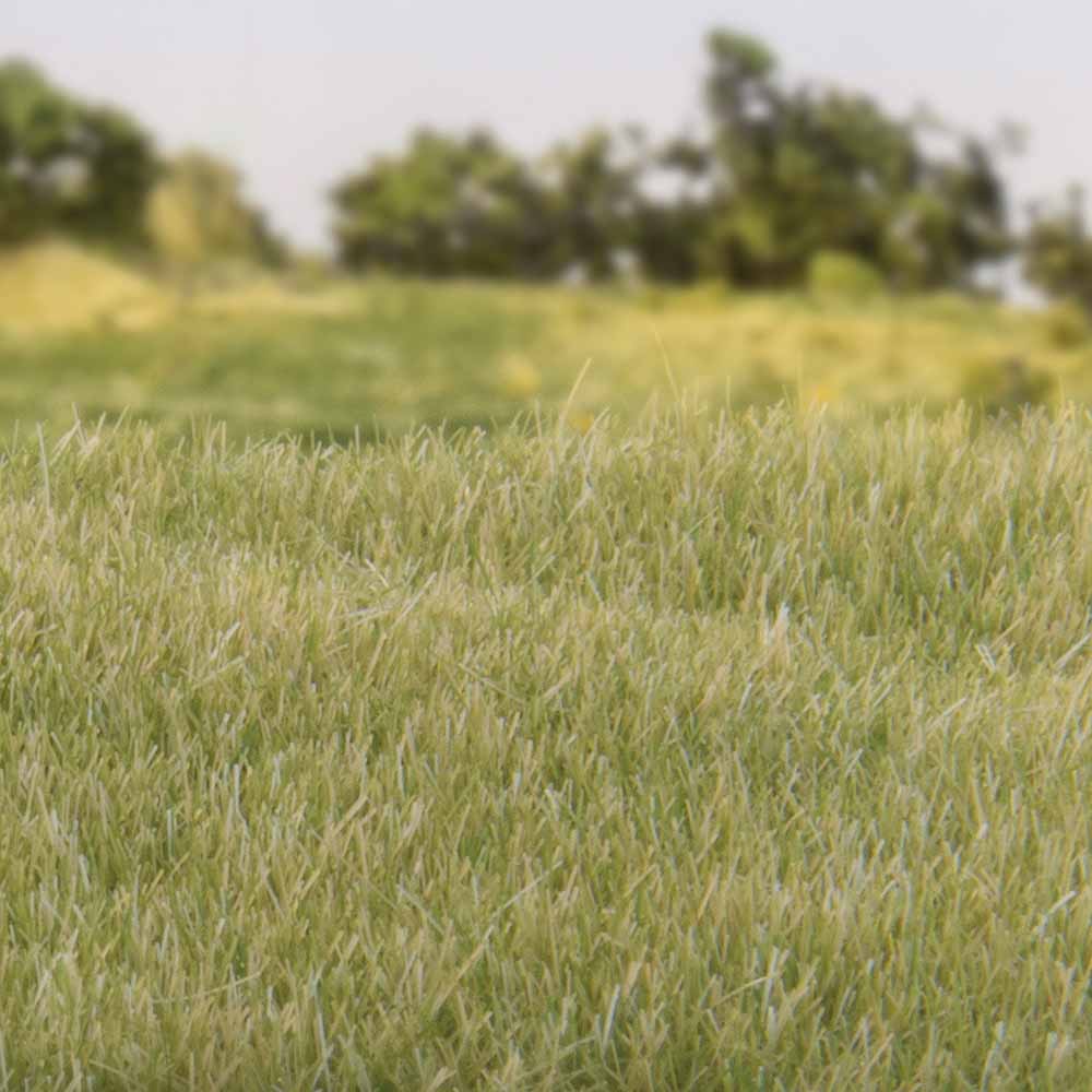 Woodland Scenics FS619 4mm Static Grass Light Green Scenic Brush Foliage Flock
