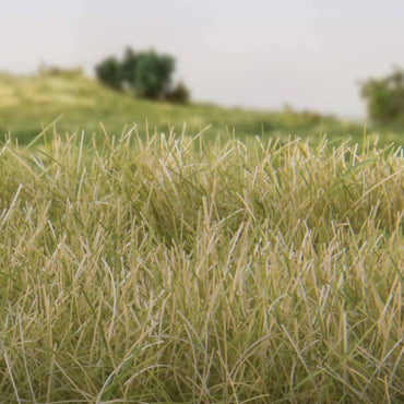 Woodland Scenics FS627 12mm Static Grass Light Green Scenic Brush Foliage Flock