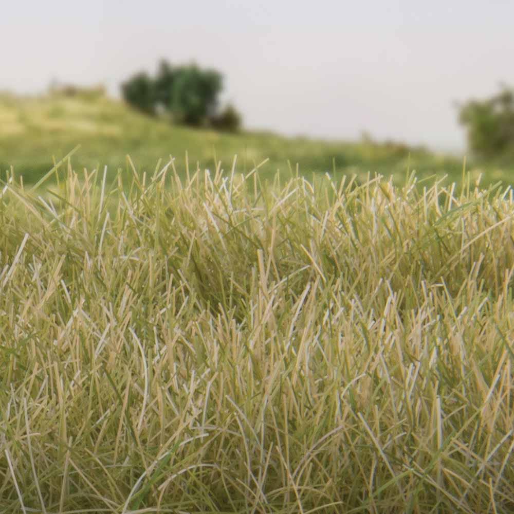 Woodland Scenics FS627 12mm Static Grass Light Green Scenic Brush Foliage Flock