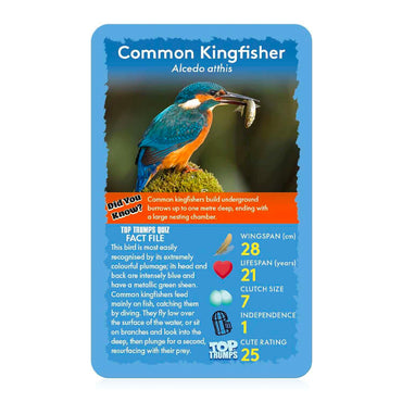 Birds of the World Top Trumps Card Game