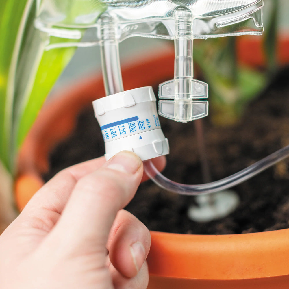 Bubblegum Stuff Plant Life Support