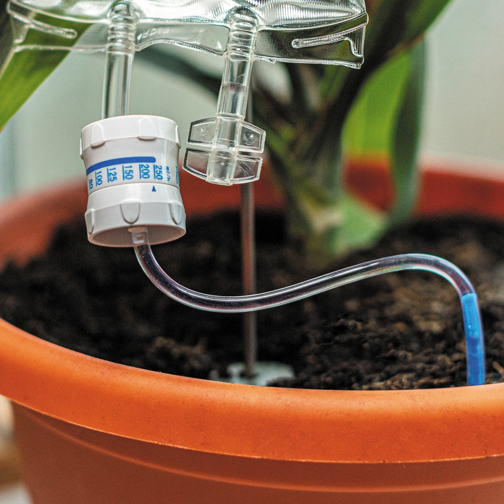 Bubblegum Stuff Plant Life Support