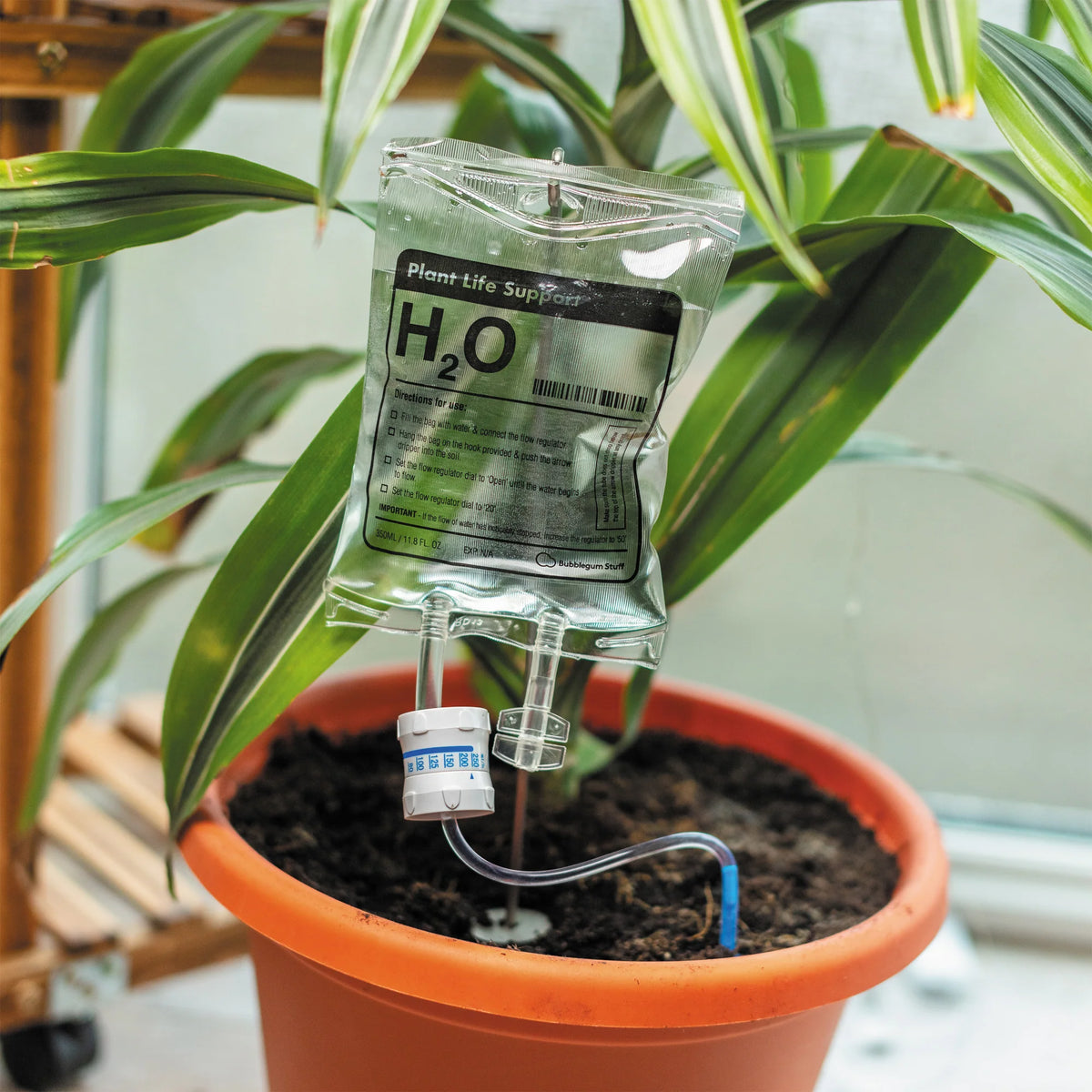Bubblegum Stuff Plant Life Support