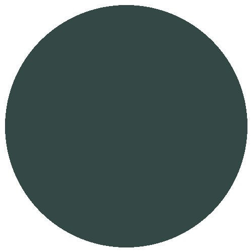 RailMatch 2412 Weathered Black 18ml Acrylic Paint