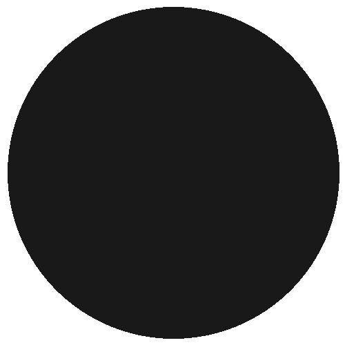 RailMatch 2420 Coal Black 18ml Acrylic Paint
