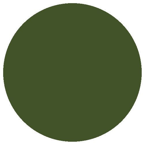 RailMatch 2308 BR Multiple Unit Dark Green 18ml Acrylic Paint