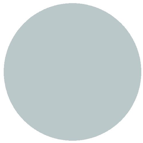 RailMatch 2313 Coach Roof Light Grey 18ml Acrylic Paint