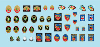 Star Decals 35-C1111 1:35 Lebanese Tanks & AFVs #4