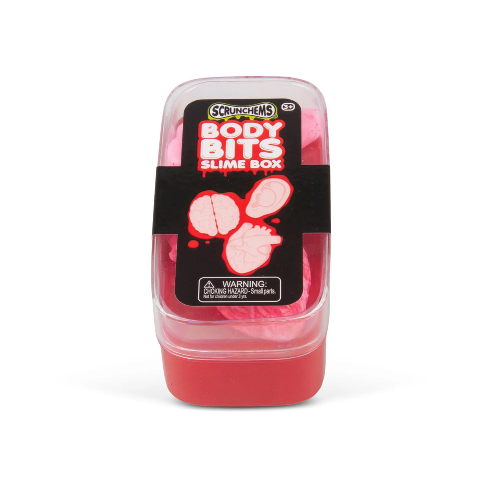 Scrunchems Body Bits Slime Box