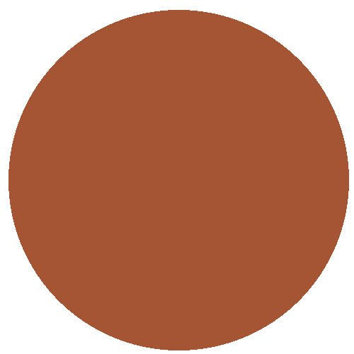 RailMatch 2405 Dark Rust 18ml Acrylic Paint