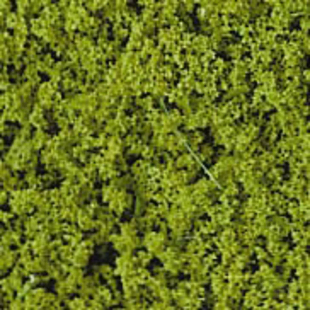 Heki 1550 Light Green Foam Tree Foliage 5546747