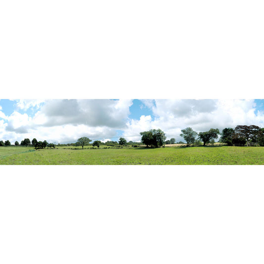Art Printers Into The Town OO Gauge 15in High 10ft Long High Backscene 106D