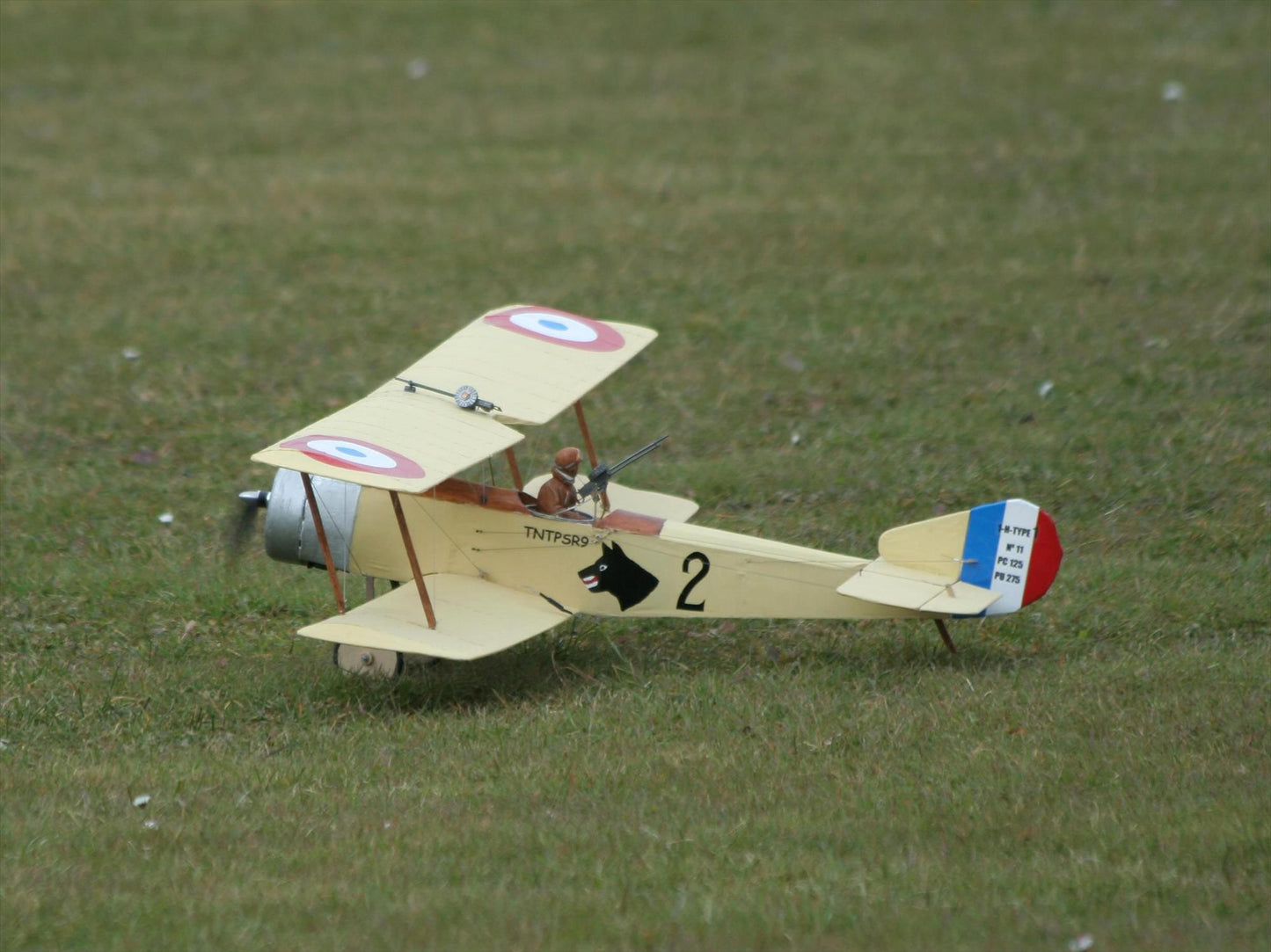Belair Sopwith Strutter - 42" Electric Scale RC Plane Assembly Kit 1:2 BA001