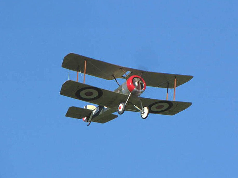 Belair Sopwith Pup 36"Electric Scale Plane Assembly Kit BA021