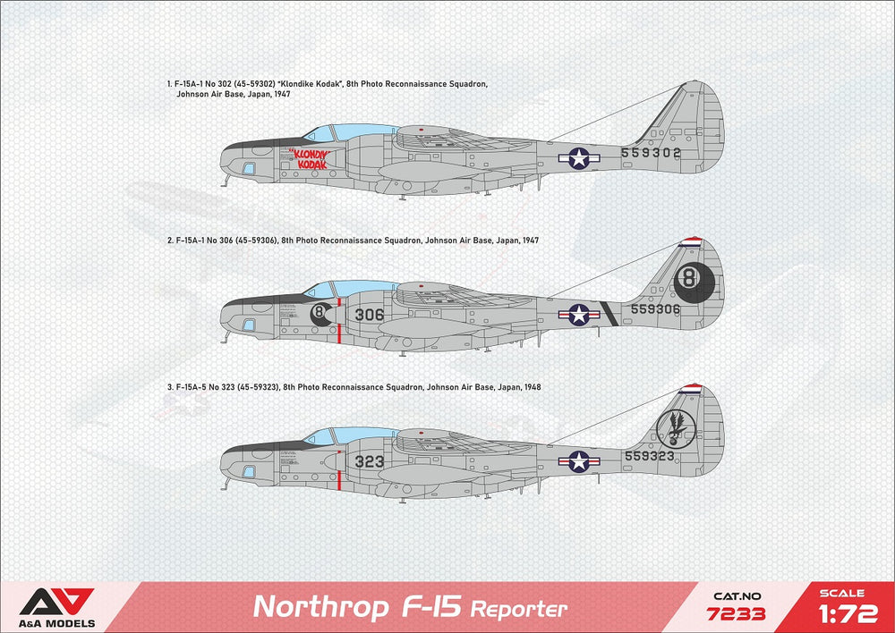 A & A Models AAM7233 1:72 Northrop F-15 Reporter