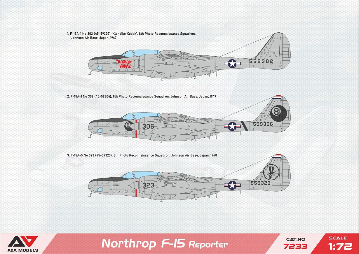 A & A Models AAM7233 1:72 Northrop F-15 Reporter