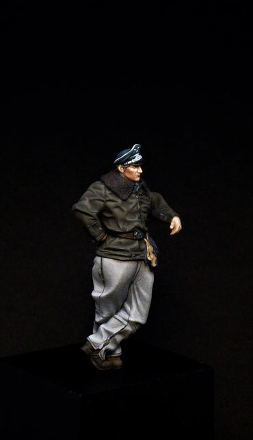Aims AIMS32F005 1:32 Luftwaffe Pilot