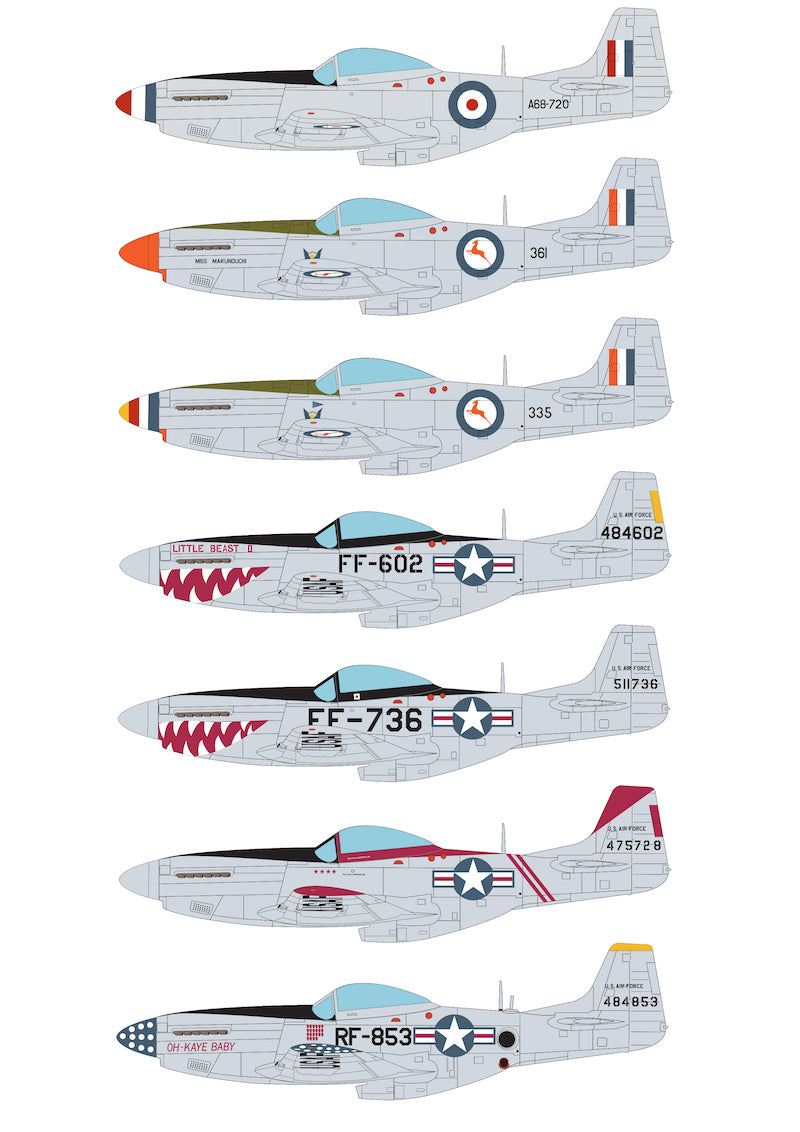 Aims AIMS48D026 1:48 Korean War North-American P-51D Mustangs