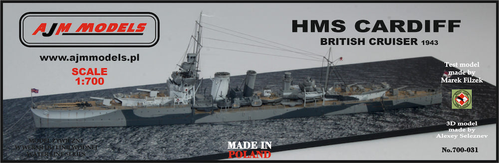 AJM Models AJM700-031 1:700 H.M.S