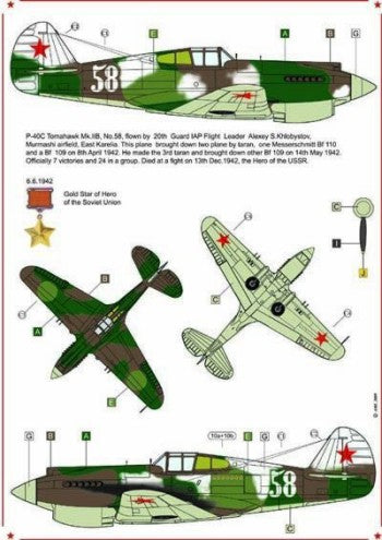AML AMLC2001 1:32 Curtiss P-40B Tomahawk/P-40C American's in Stalin's Sky