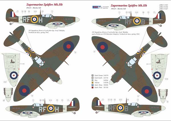 AML C2021 303 Sqn RAF Spitfire Mk.IIb Pilot Sgt. J. Balejka 1:32