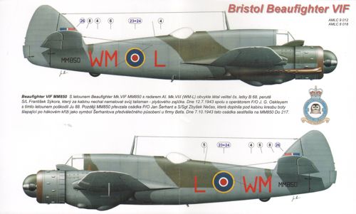 AML AMLC8018 1:48 Bristol Beaufighter Mk.VIF MM850