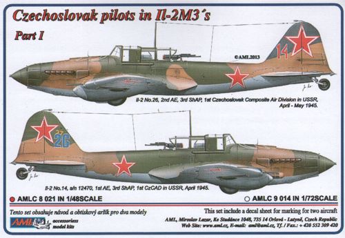 AML C8021 Czechoslovak Pilots in Ilyushin Il-2m3 Part I 1:48