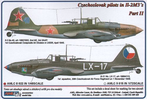 AML C8022 Czechoslovak Pilots in Ilyushin Il-2m3 Part II 1:48