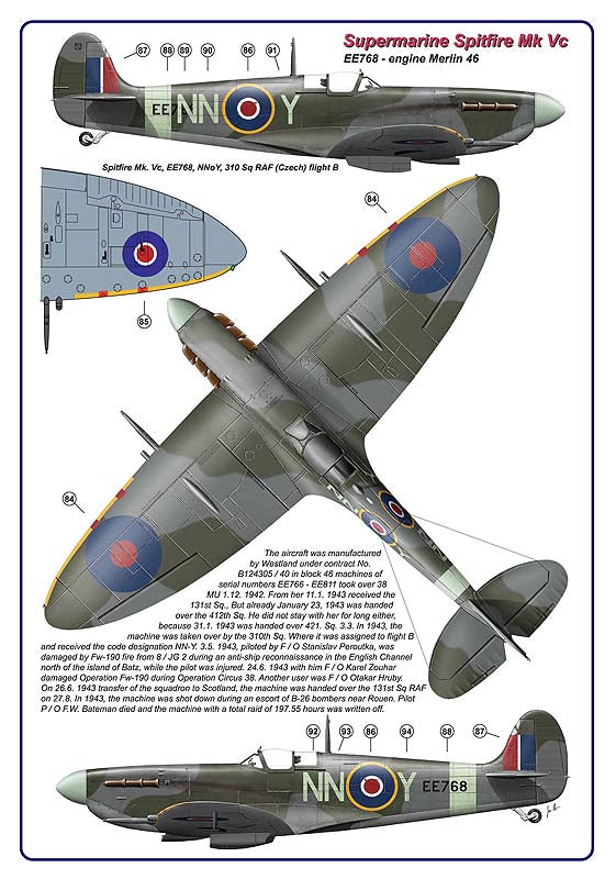 AML AMLD48040 1:48 Squadron RAF