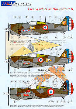 AML AMLD48004 1:48 Curtiss Hawk H-75A-1 Part 2.