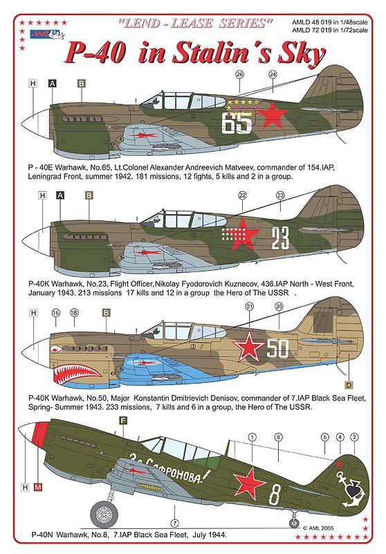 AML AMLD48019 1:48 Lend-Lease Curtiss P-40s in Soviet Service