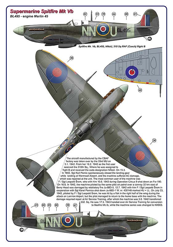 AML AMLD72053 1:72 310 Squadron RAF