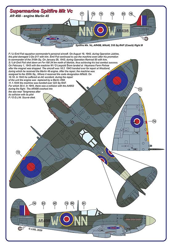 AML AMLD72053 1:72 310 Squadron RAF
