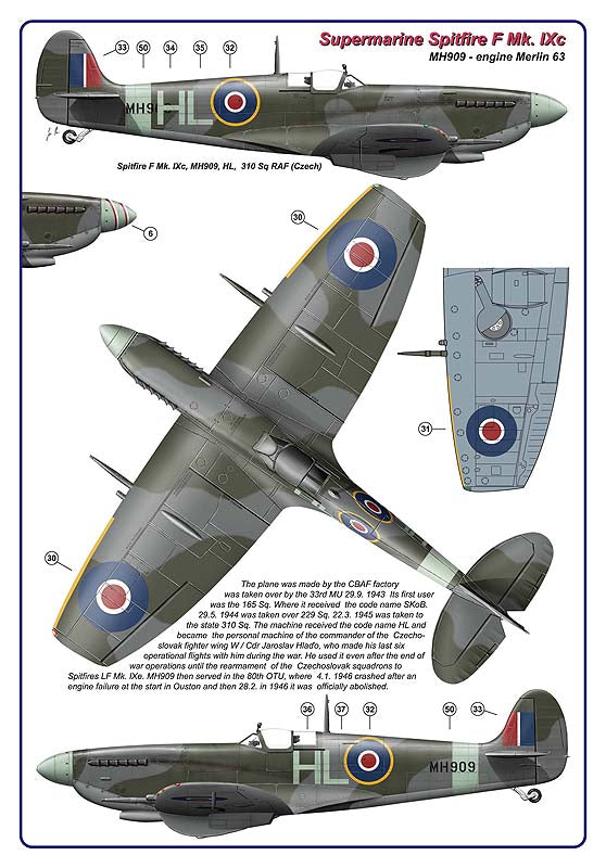 AML AMLD72053 1:72 310 Squadron RAF