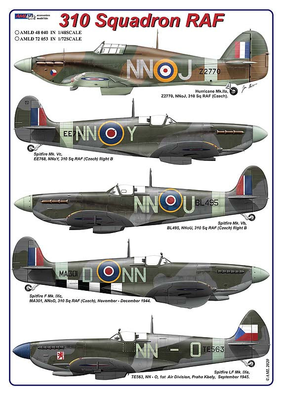 AML AMLD72053 1:72 310 Squadron RAF