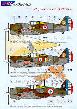 AML AMLD72007 1:72 Curtiss Hawk H-75A-1 Part 2.