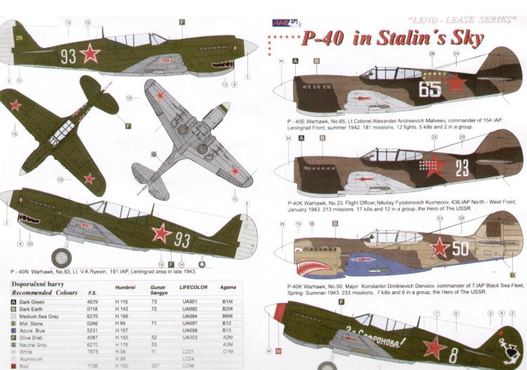 AML AMLD72019 1:72 Lend-Lease Curtiss P-40s in Soviet Service