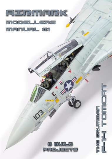 Airmark AMM01 Grumman F-14A Tomcat by Andy Evans