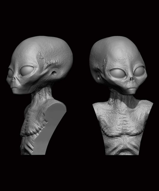 ION Model AX-01 GREY ALIEN " BUST 5cm/50mm